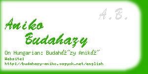 aniko budahazy business card